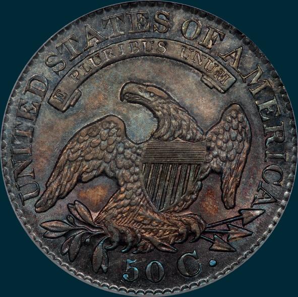 1828 O-113, small 8's large letters, capped bust half dollar