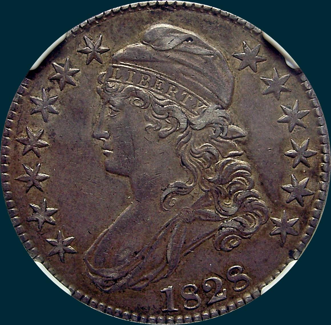 1828 O-110, small 8's large letters, capped bust half dollar