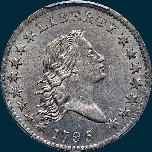 1795, O-130 Edge, Flowing Hair, Half Dollar