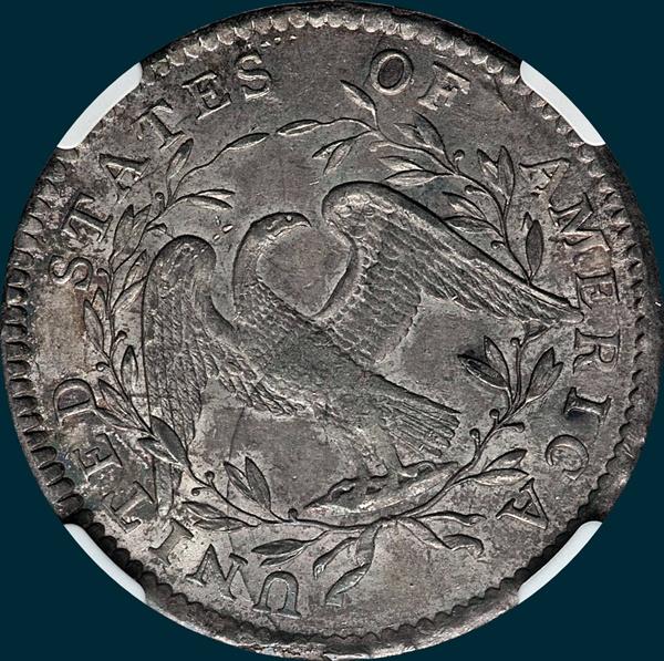 1795, O-115 Edge, Flowing Hair, Half Dollar