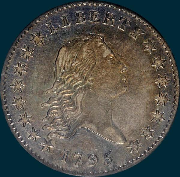 1795, O-117 Edge, Flowing Hair, Half Dollar