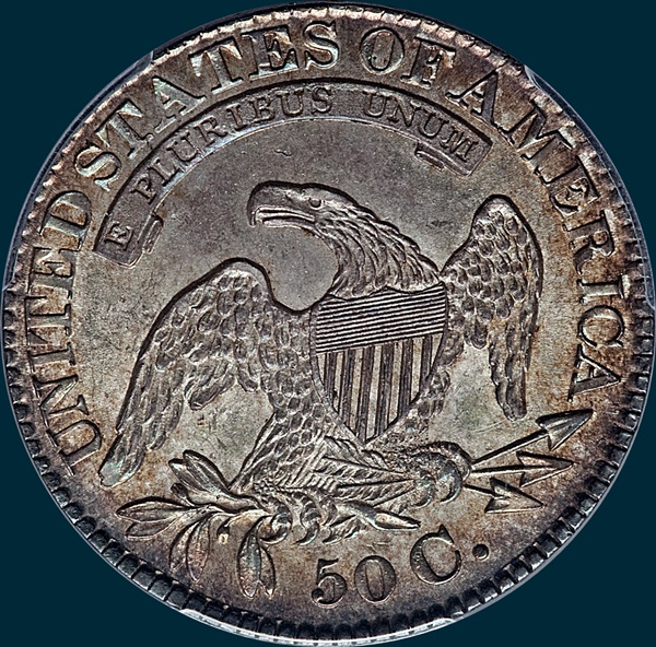 1828 O-116, large 8's large letters, capped bust half dollar